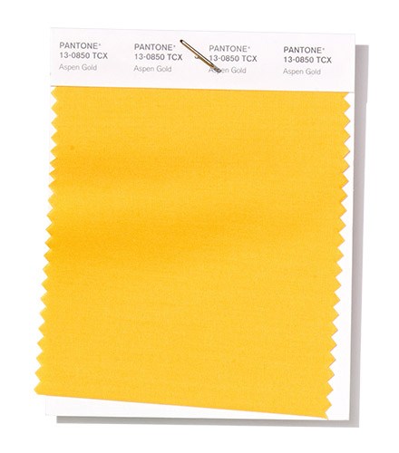 PANTONE-13-0850-Aspen-Gold.jpg PANTONE-13-0850-Aspen-Gold.jpg