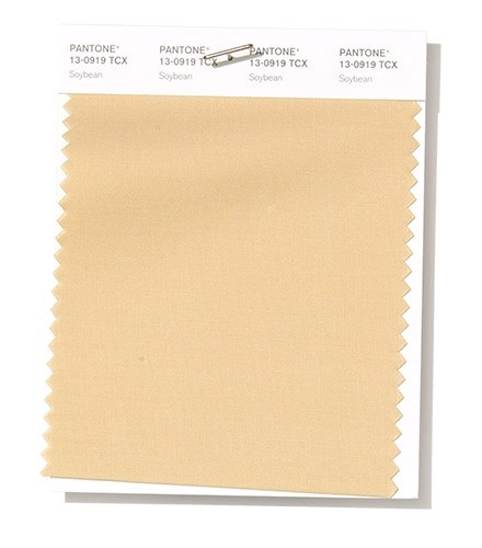 Pantone-Spring-Summer-2019-Soybean-PANTONE-13-0919.jpg