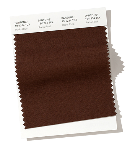 pantone-fashion-color-trend-report-new-york-autumn-winter-2019-2020-swatch-rocky-road.jpg