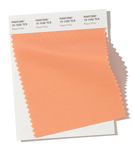 pantone-fashion-color-trend-report-new-york-autumn-winter-2019-2020-swatch-peach-pink.jpg pantone-fashion-color-trend-report-new-york-autumn-winter-2019-2020-swatch-peach-pink.jpg