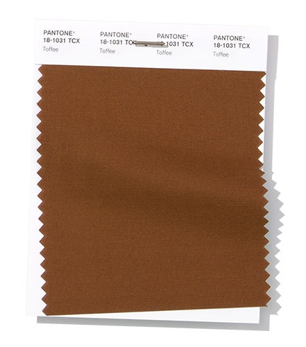 PANTONE-18-1031-Swatch-Toffee.jpg